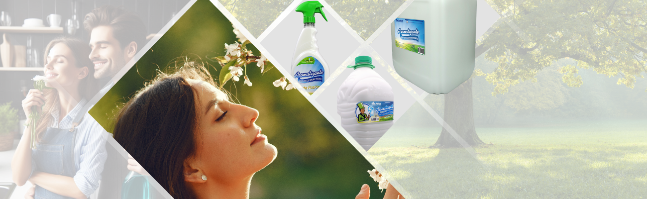Aromatizantes de Ambientes